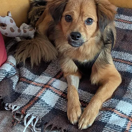 Hotel Victor Hugo Nizza