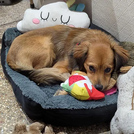 Hotel Victor Hugo 2*