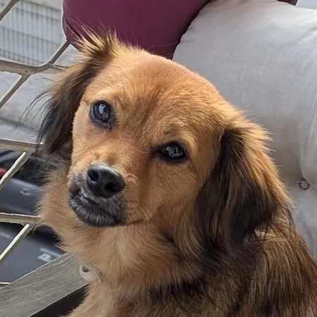 Hotel Victor Hugo 2*